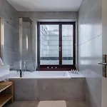Modern Spacious Flat With A Terrace And A Parking Praag